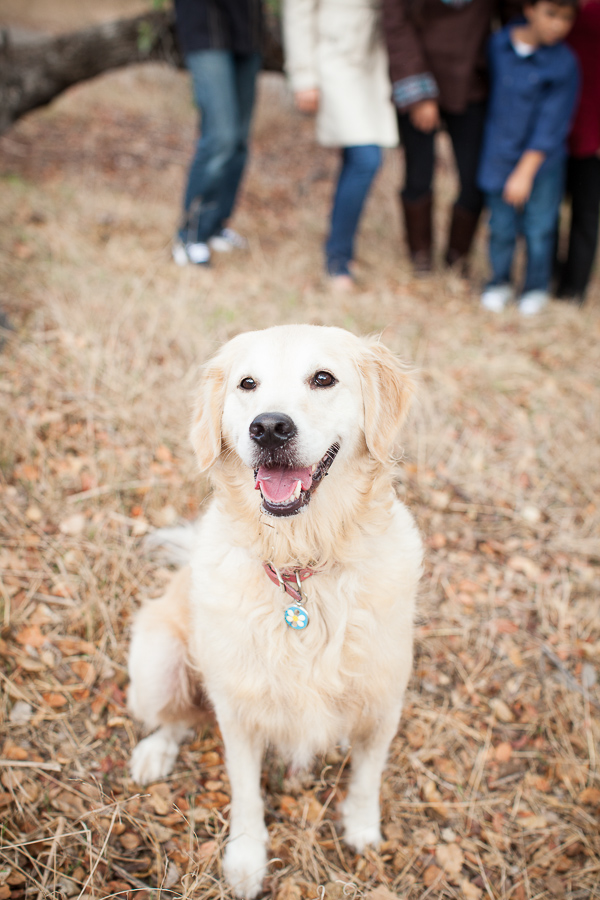 poway family photographer