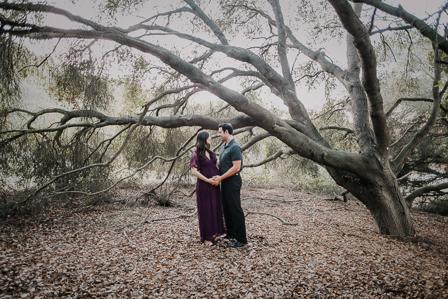 san diego maternity photographer